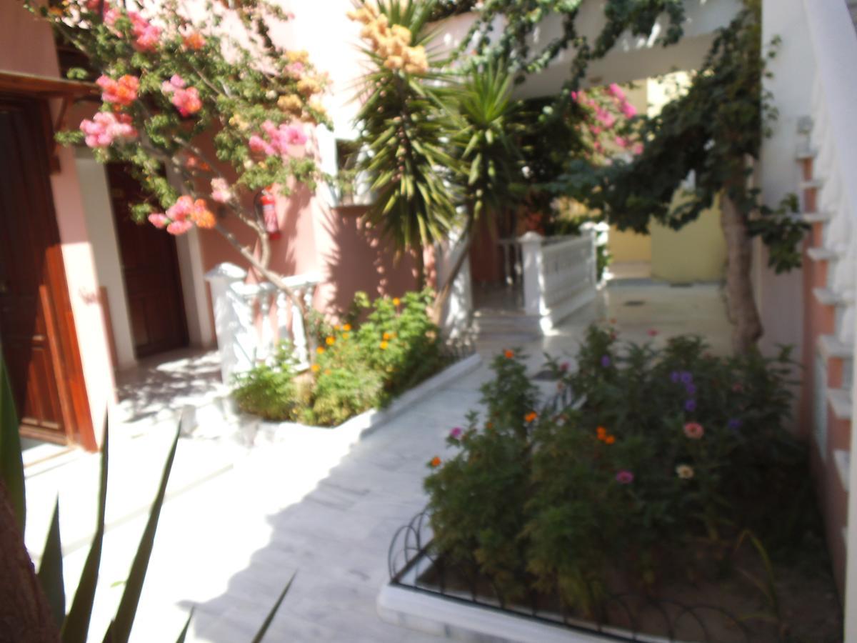Alkyon Hotel Kokkari Dış mekan fotoğraf